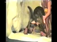 Blonde [ Animal XXX and Beastialty Sex ]wife acquires fucked by police dog